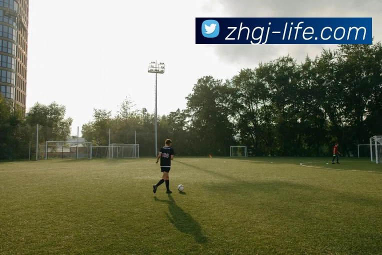 尊皇国际生活APP 高清赛事图